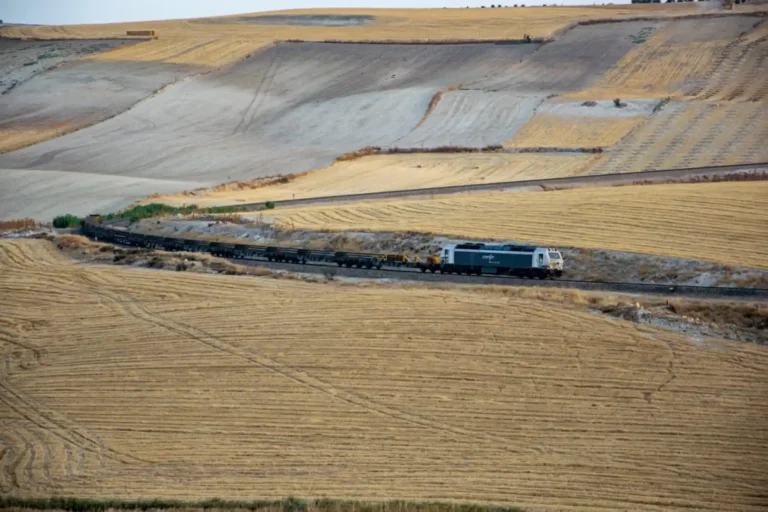 Tren Carrilero en Gobernador