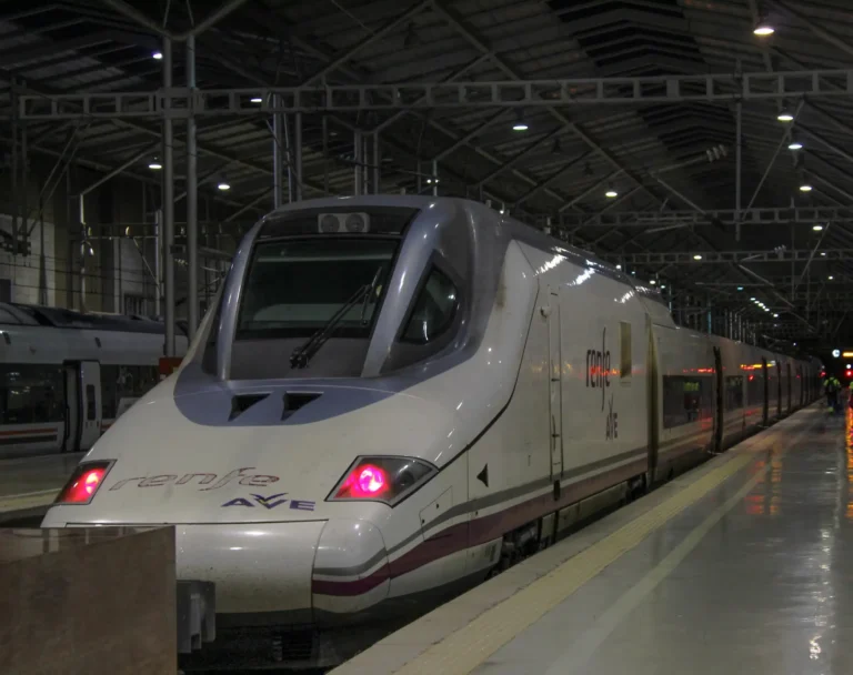 Un tren del servicio comercial AVE descansando en la estación de María Zambrano.