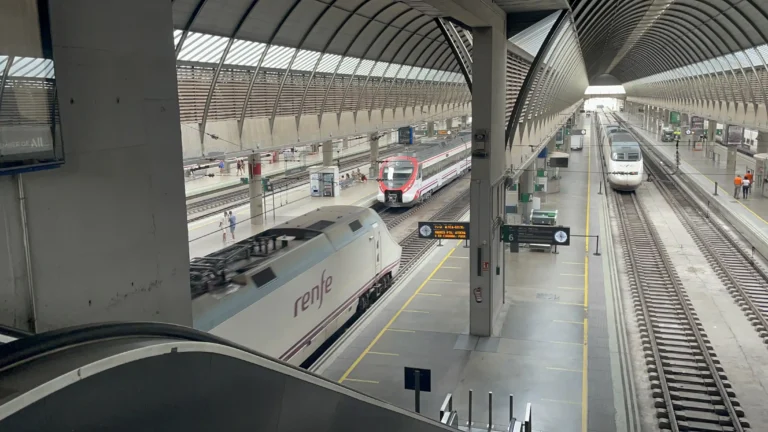 Vista panorámica desde la zona superior de una estación de tren con andenes, vías y varios trenes de Renfe detenidos y en circulación.
