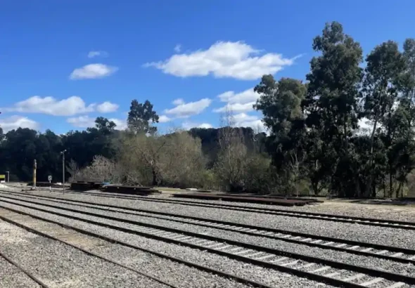 Varias vías de tren paralelas rodeadas de balasto gris, arbolado de eucaliptos y colinas bajo un cielo azul con nubes dispersas en la estación de Cazalla-Constantina.