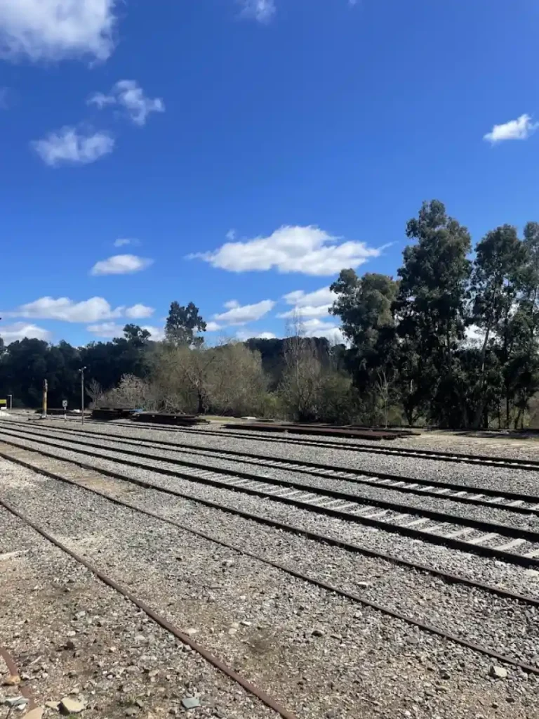 Varias vías de tren paralelas rodeadas de balasto gris, arbolado de eucaliptos y colinas bajo un cielo azul con nubes dispersas en la estación de Cazalla-Constantina.